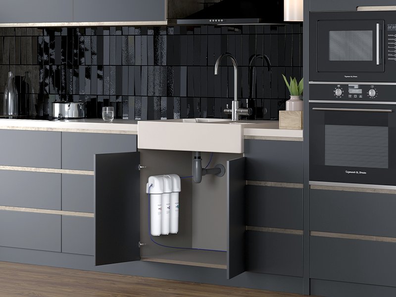 Одним из таких элементов является железо.